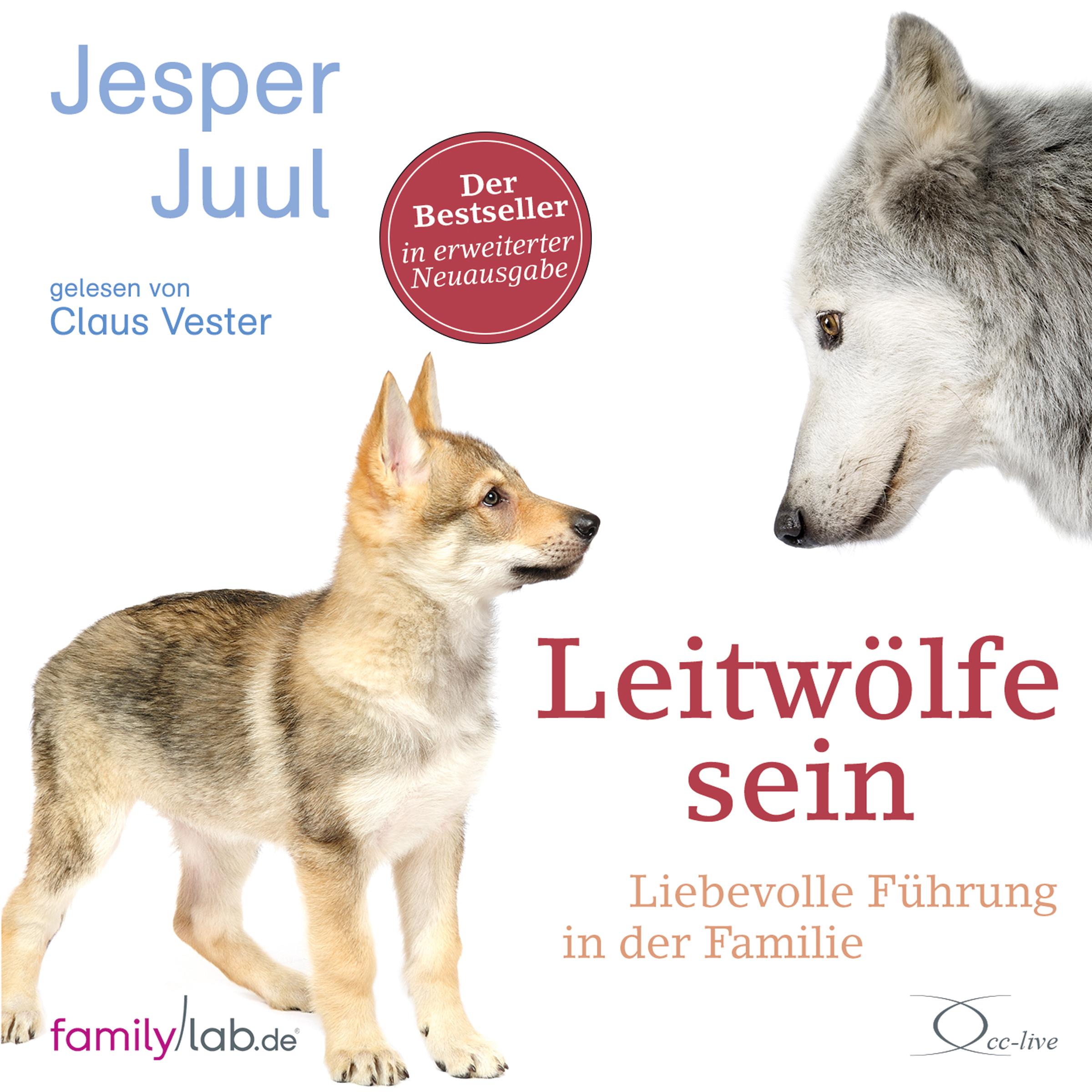 Vorderes Coverbild Leitwölfe sein