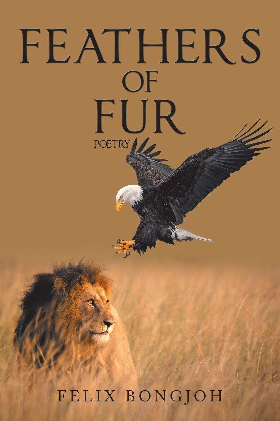 Vorderes Coverbild Feathers of Fur