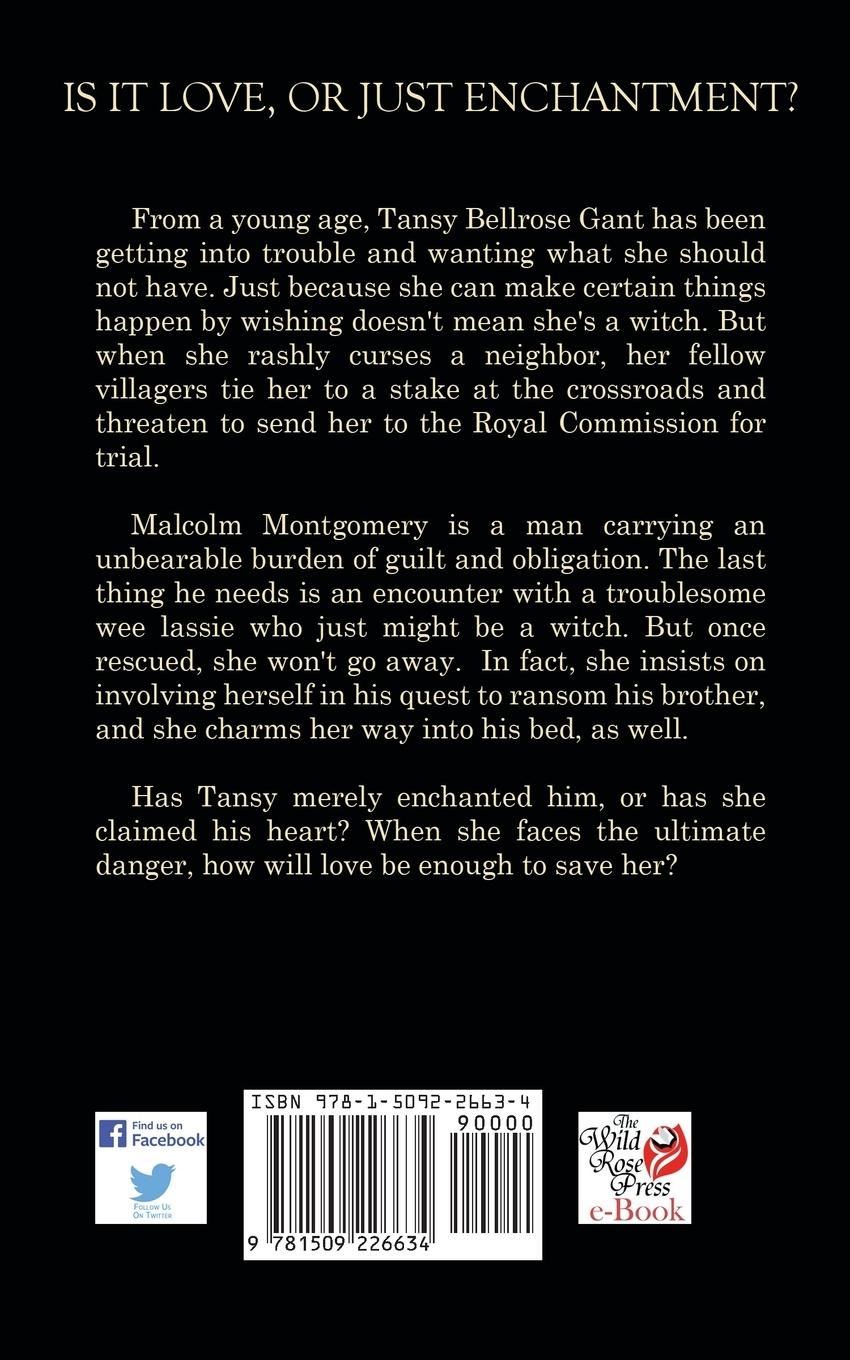 Rückseitencover One Enchanted Scottish Knight