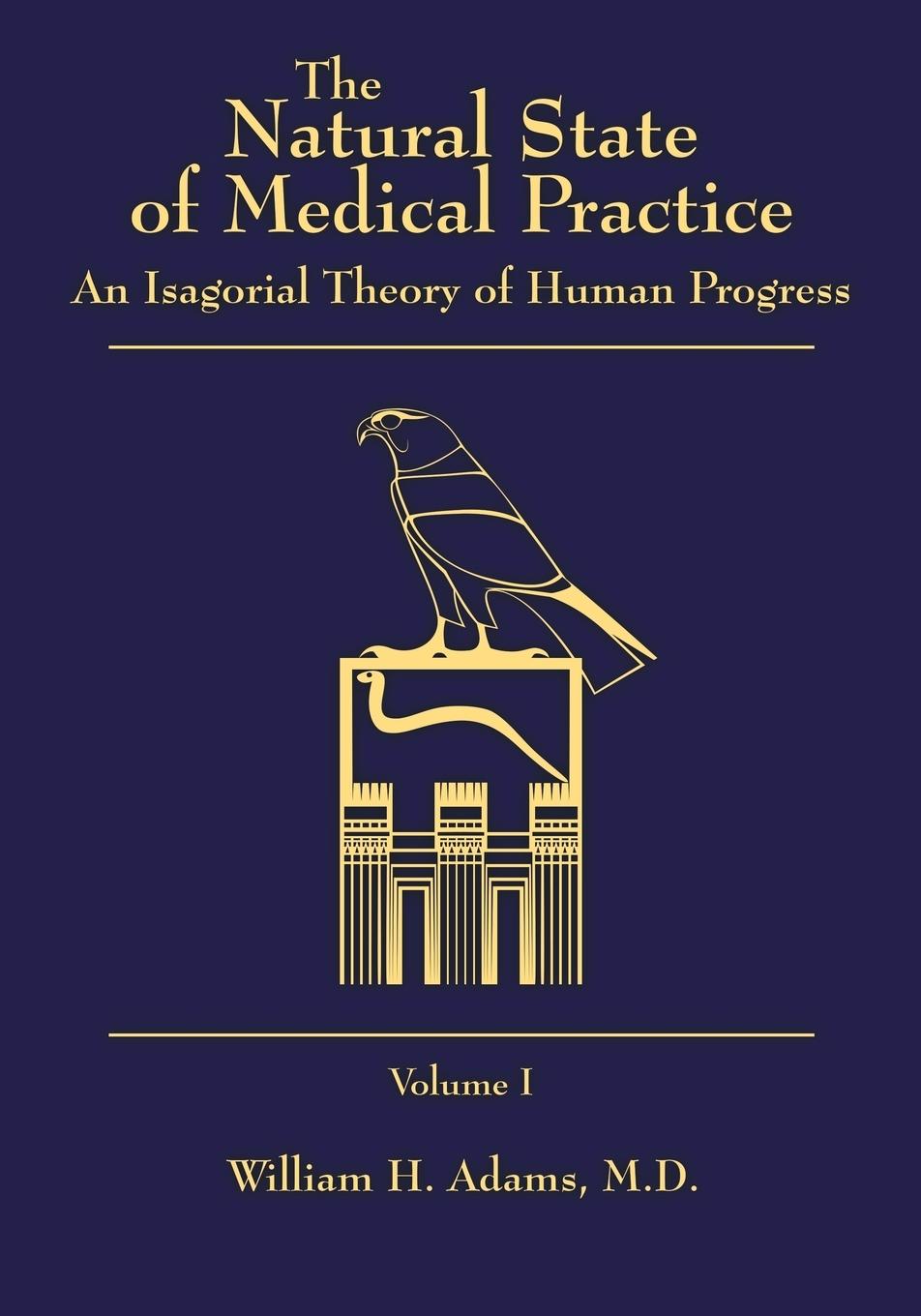 Vorderes Coverbild The Natural State of Medical Practice