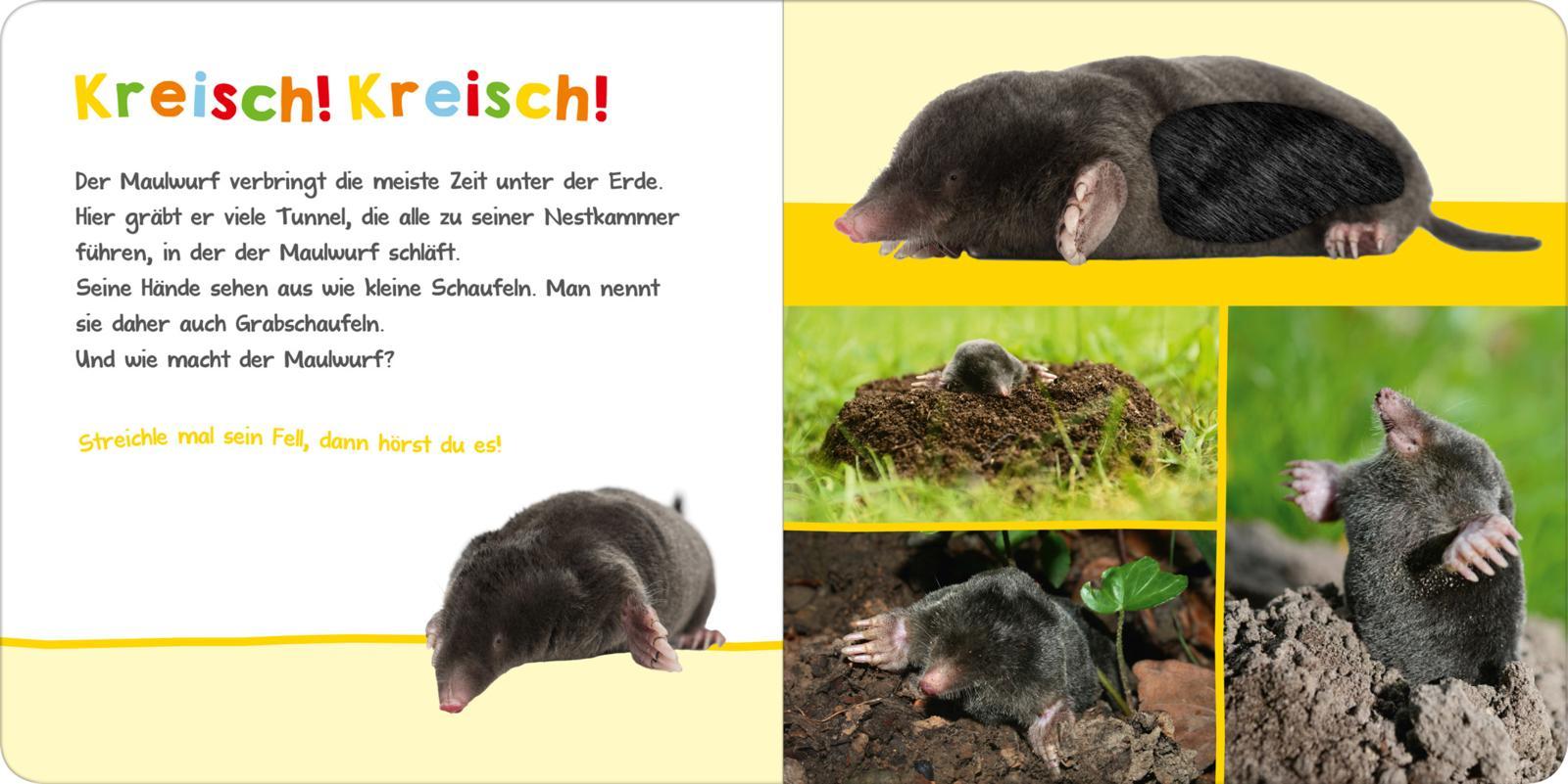 Beispielinhalt (Bild) Hör mal rein, wer kann das sein? - Im Garten