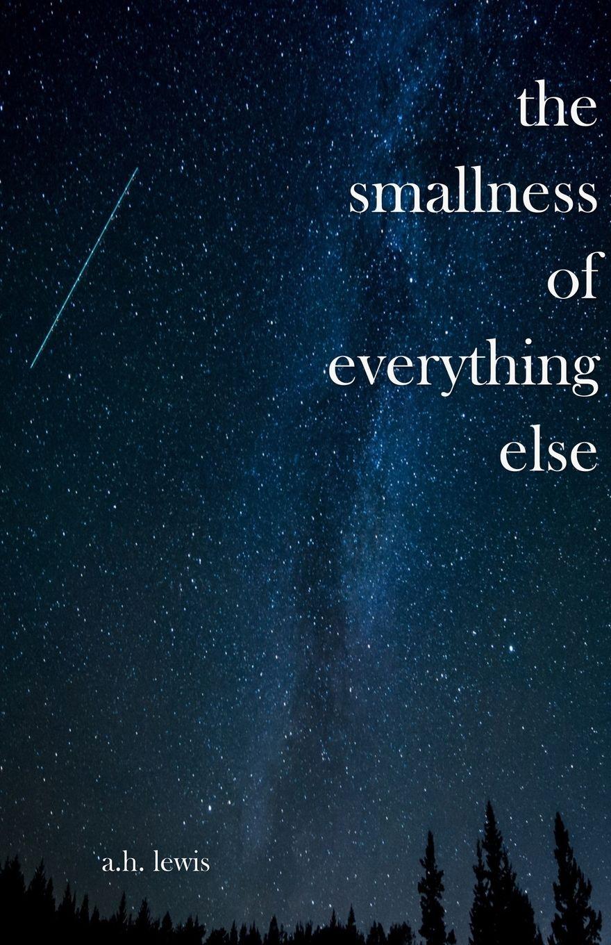 Vorderes Coverbild The Smallness of Everything Else