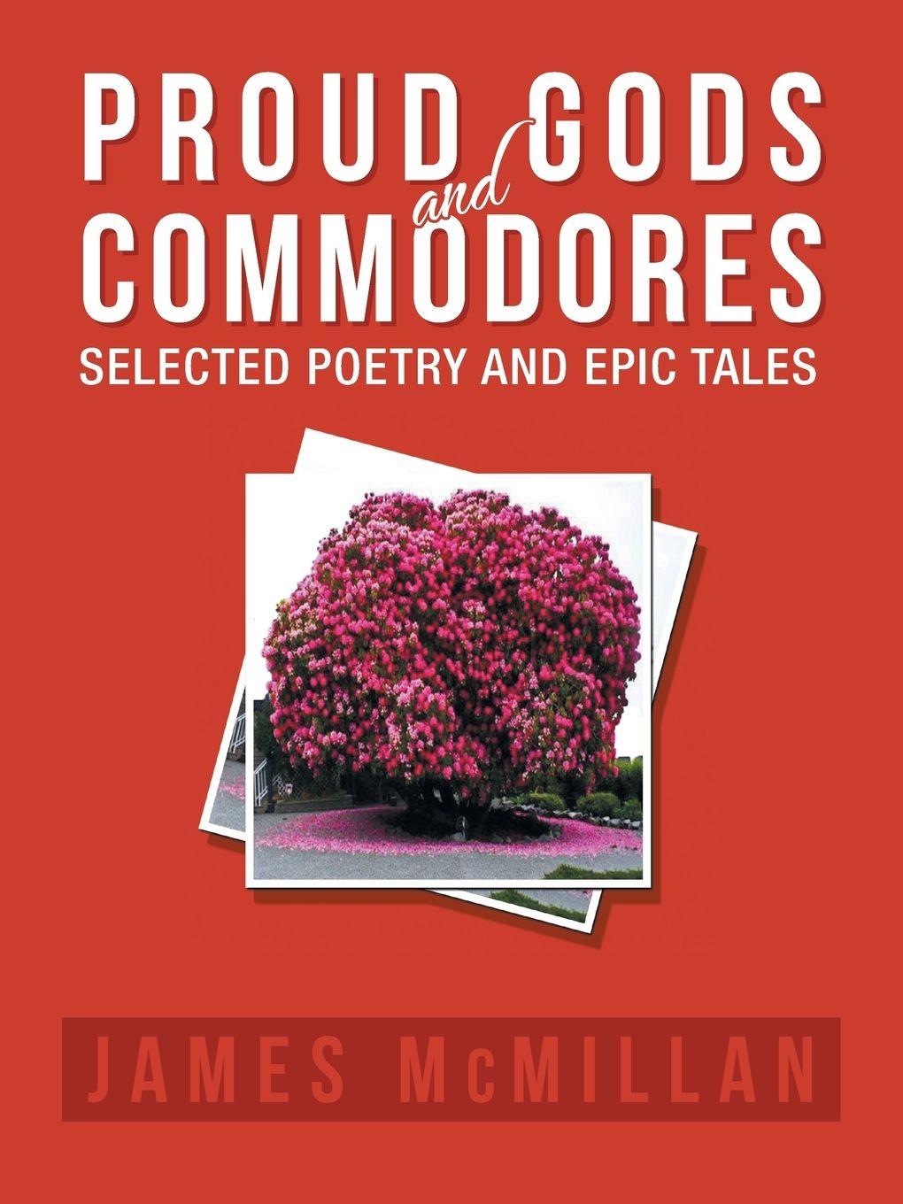 Vorderes Coverbild Proud Gods and Commodores