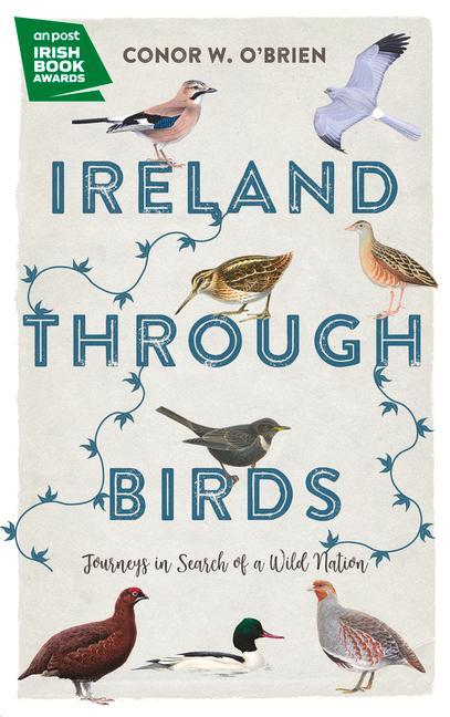 Vorderes Coverbild Ireland Through Birds