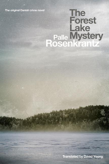 Vorderes Coverbild The Forest Lake Mystery