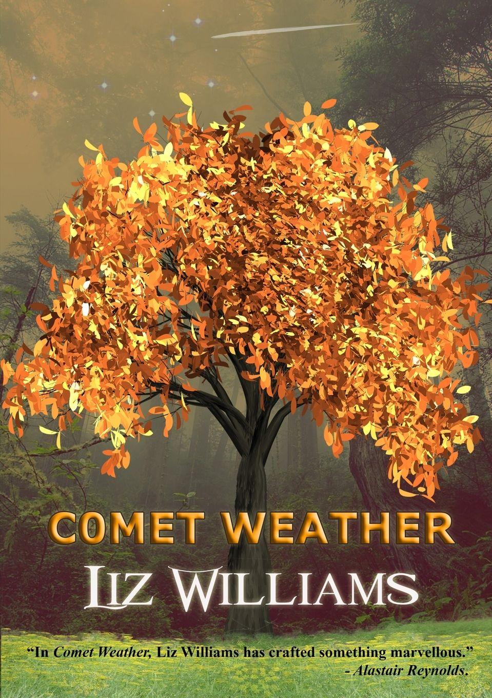 Vorderes Coverbild Comet Weather