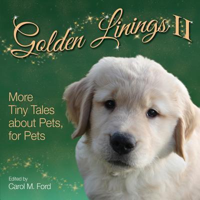 Vorderes Coverbild Golden Linings II