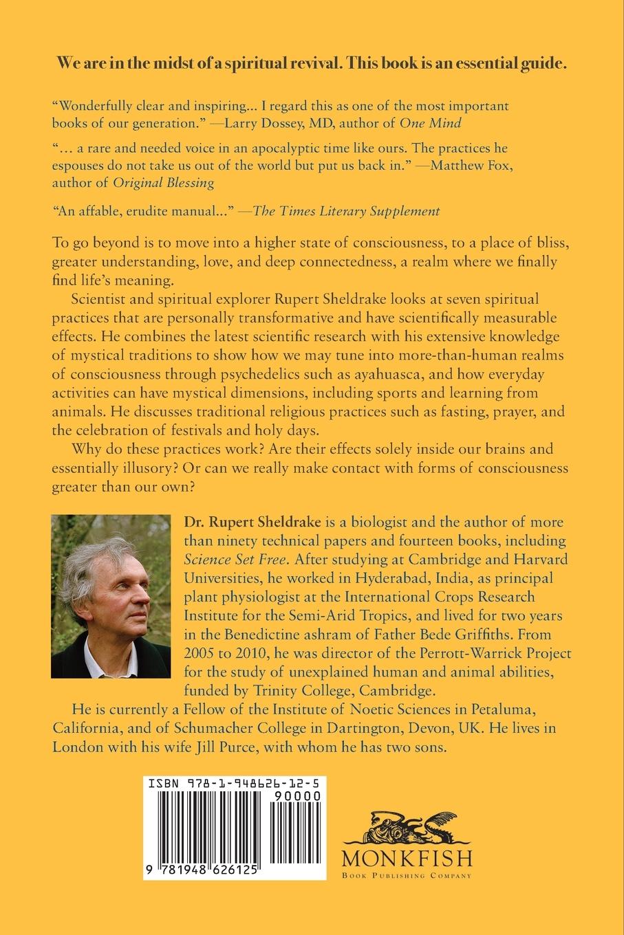 Rückseitencover Ways to Go Beyond and Why They Work