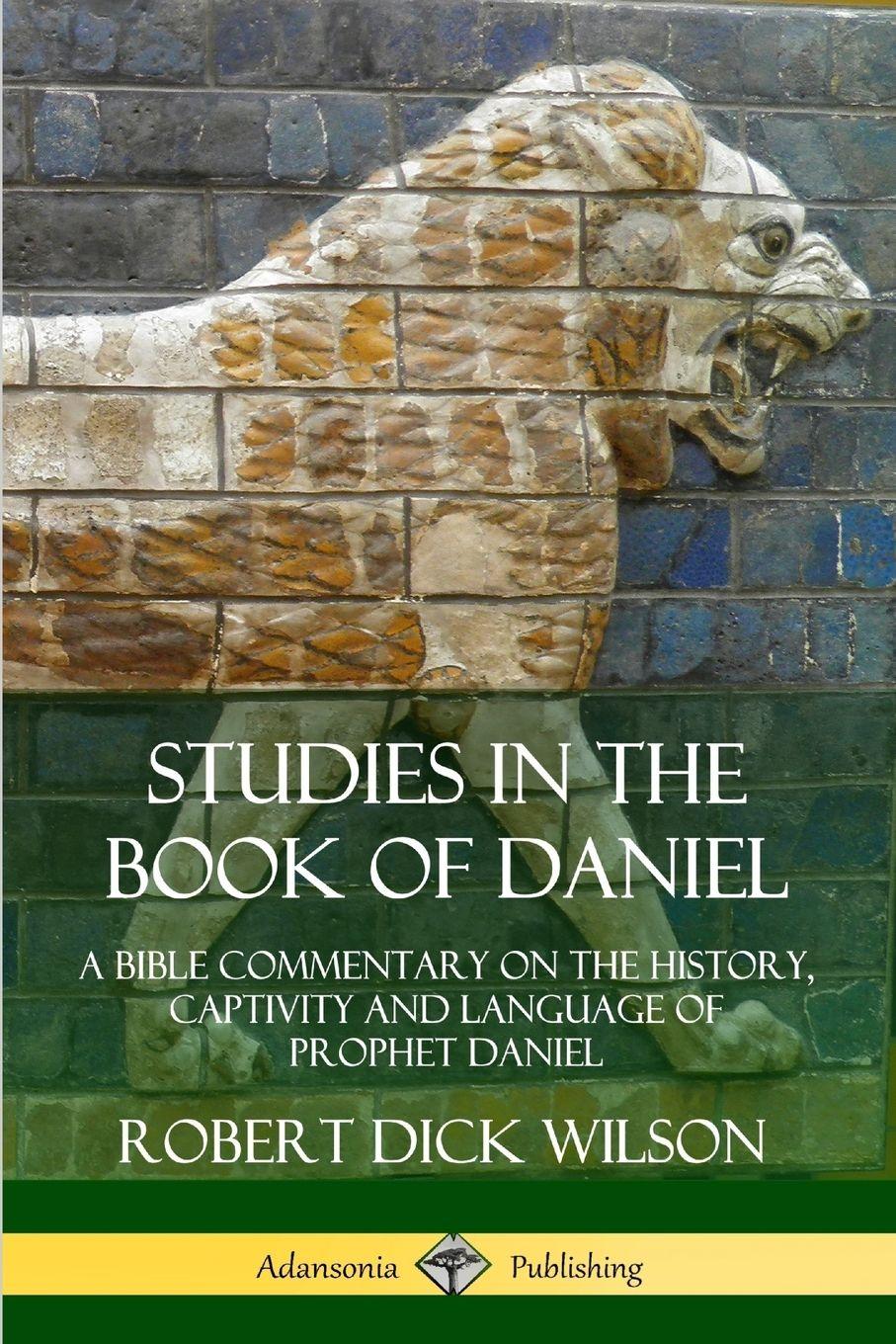 Vorderes Coverbild Studies in the Book of Daniel