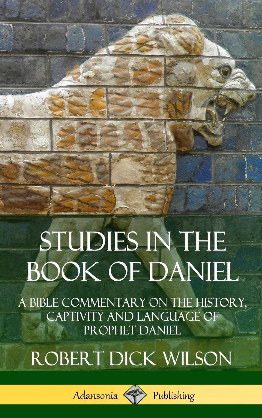Vorderes Coverbild Studies in the Book of Daniel