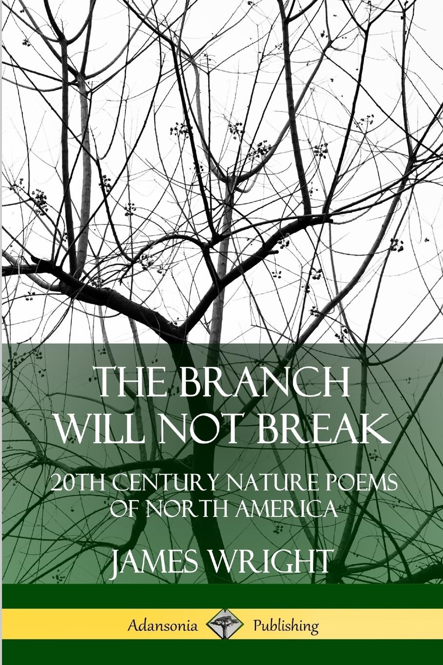Vorderes Coverbild The Branch Will Not Break