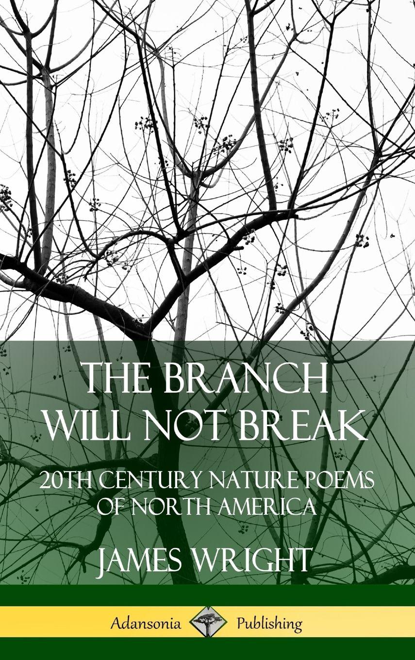 Vorderes Coverbild The Branch Will Not Break