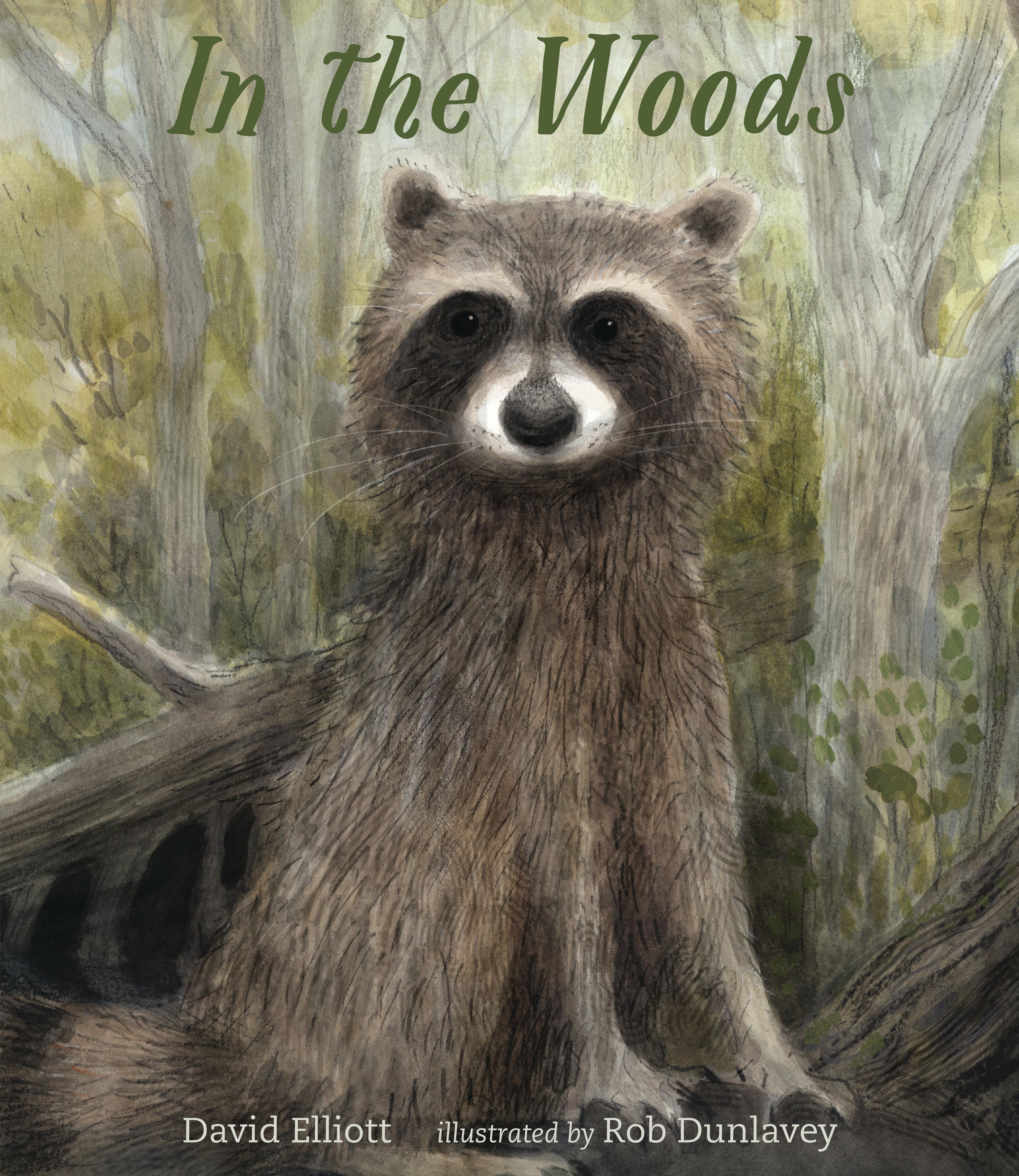 Vorderes Coverbild In the Woods