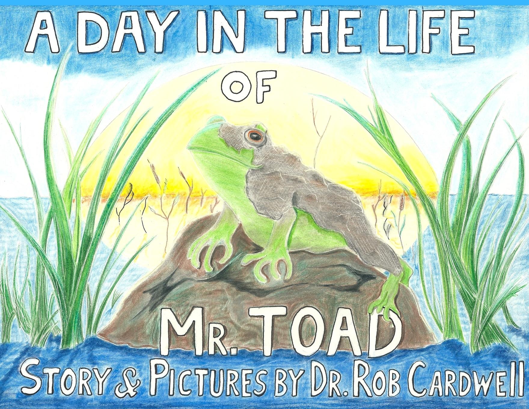 Vorderes Coverbild A Day in the Life of Mr. Toad