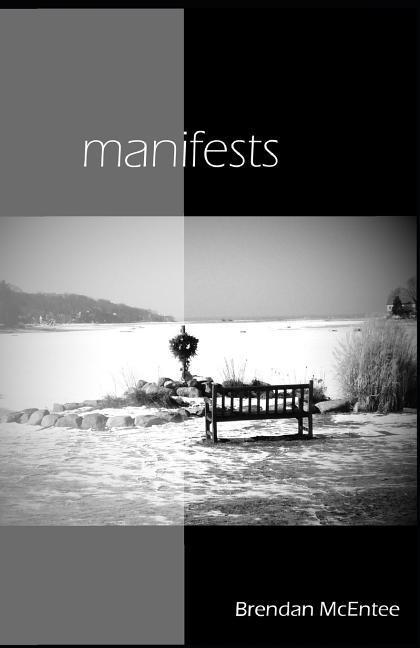 Vorderes Coverbild manifests