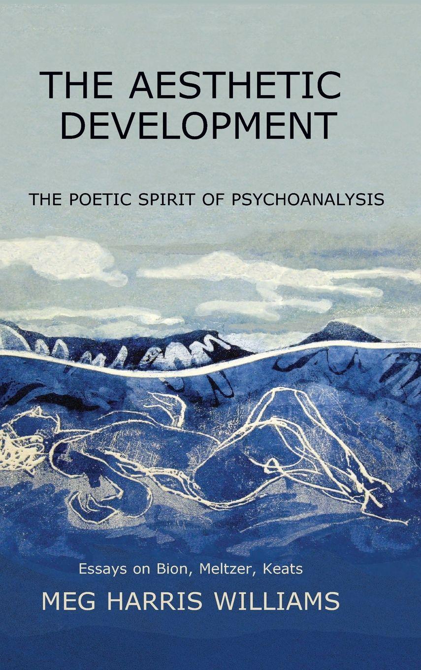 Vorderes Coverbild The Aesthetic Development