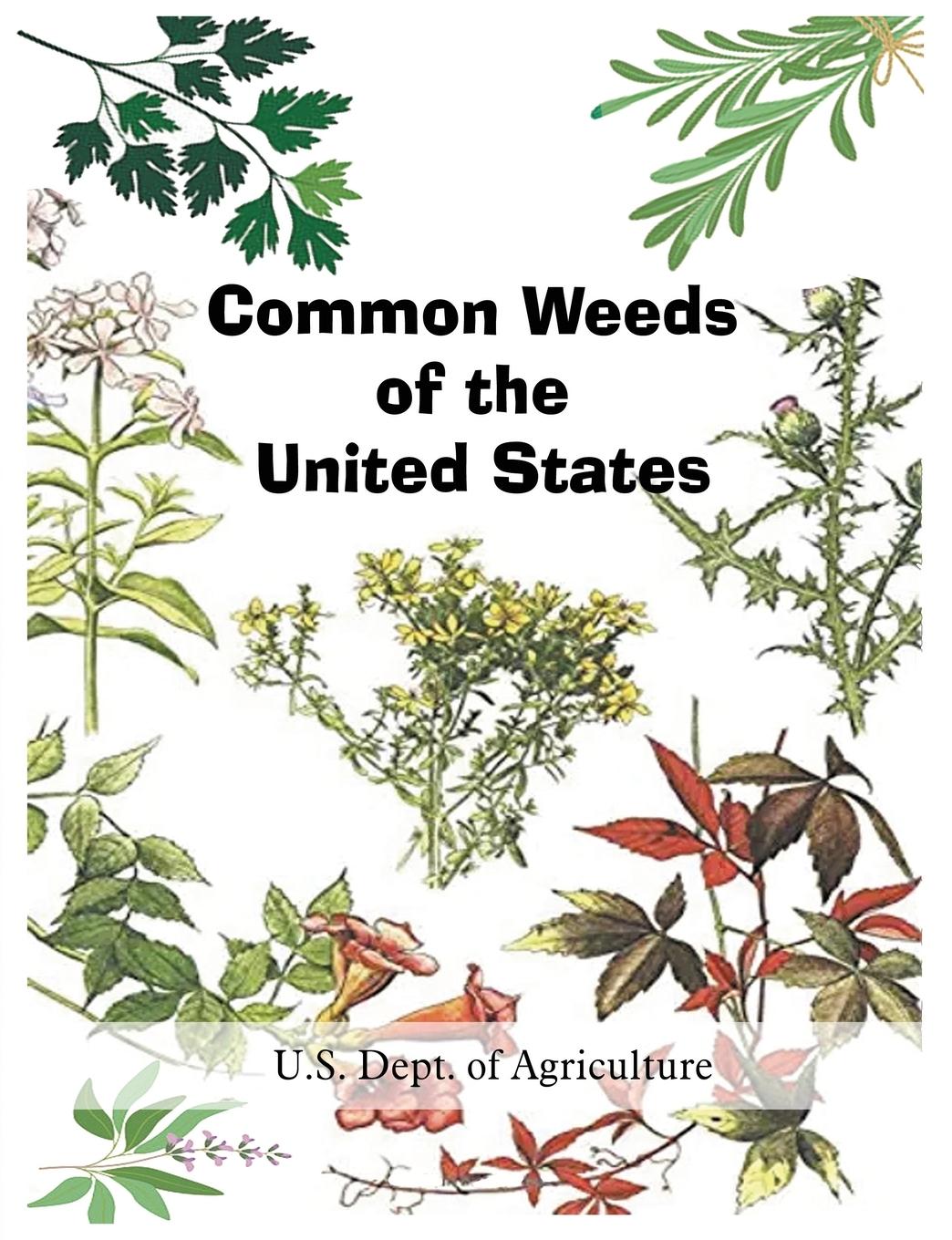 Vorderes Coverbild Common Weeds of the United States