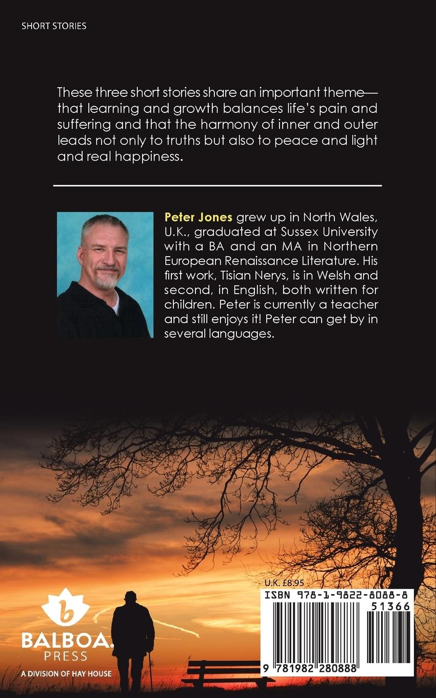 Rückseitencover Cracks, Doors, Windows and a Story-Telling Tree