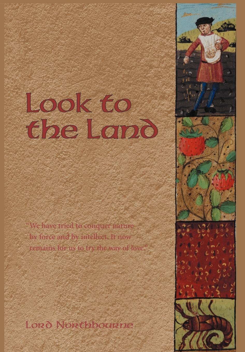 Vorderes Coverbild Look to the Land