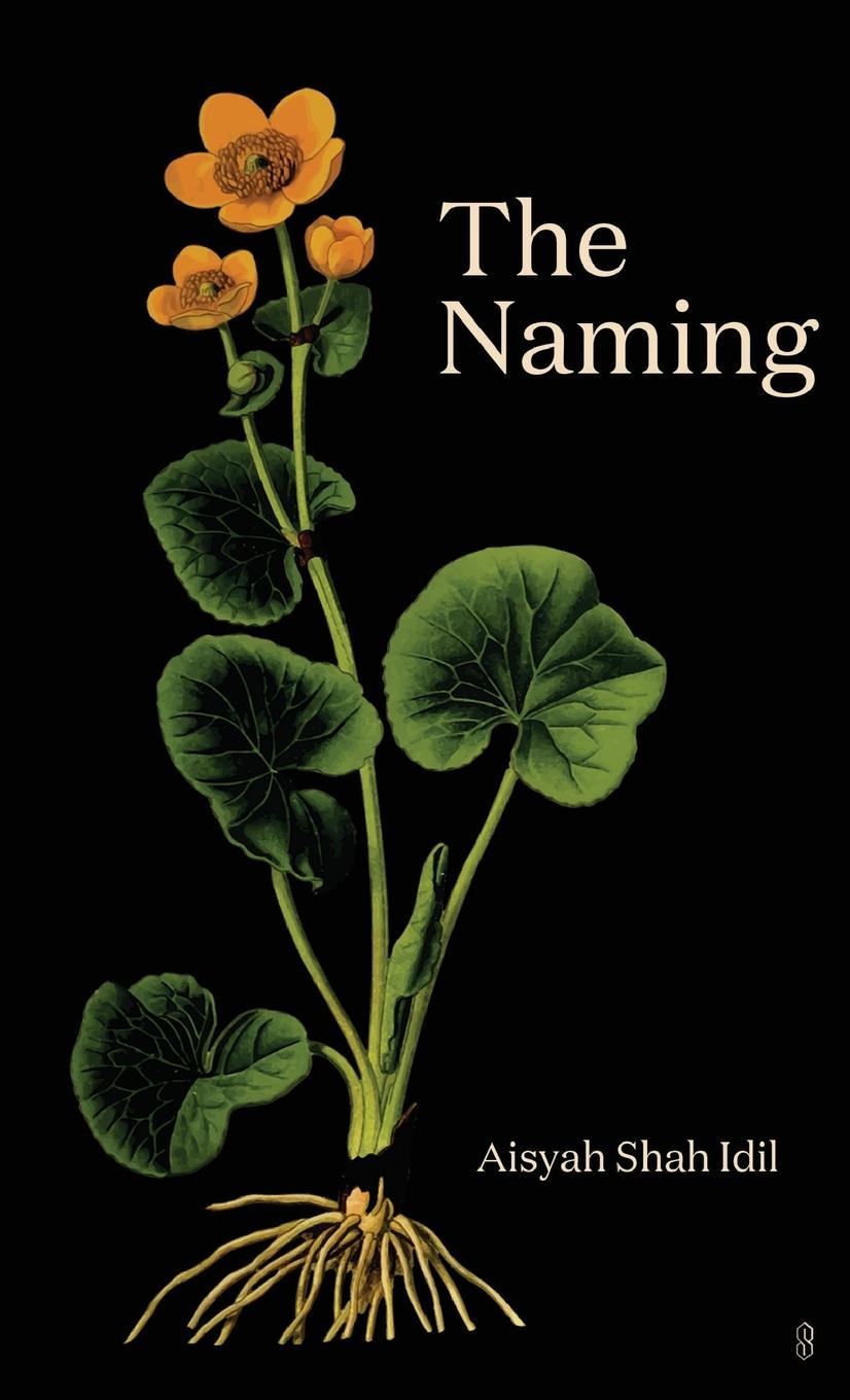 Vorderes Coverbild The Naming