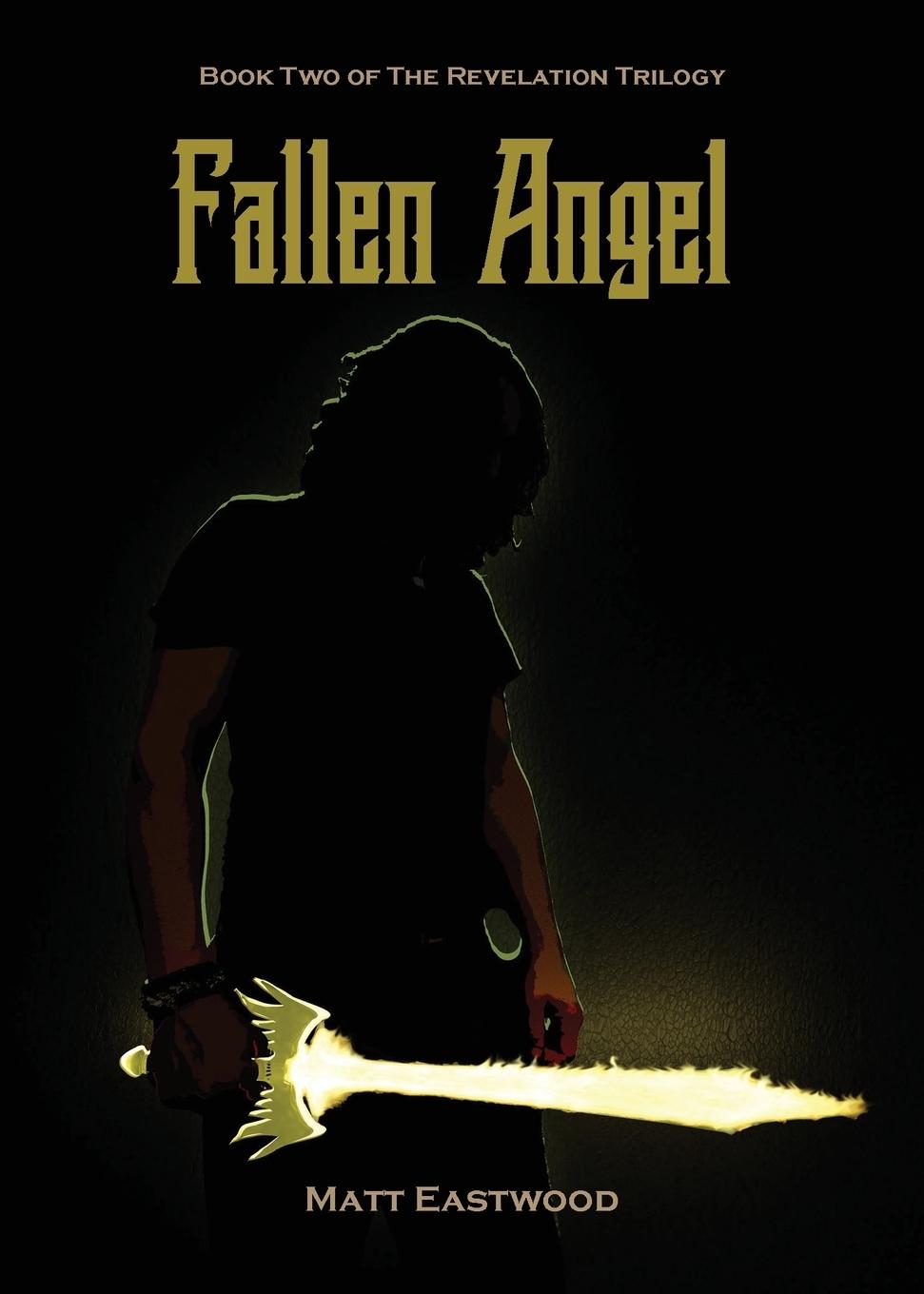 Vorderes Coverbild Fallen Angel