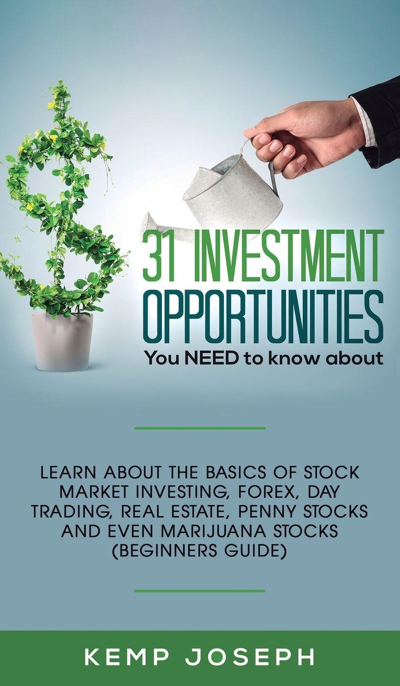 Vorderes Coverbild 31 Investment Opportunities You NEED to know about