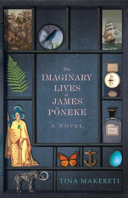 Vorderes Coverbild The Imaginary Lives of James Poneke