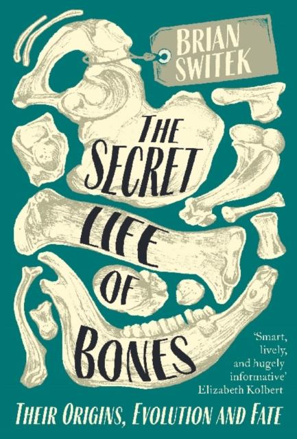 Vorderes Coverbild The Secret Life of Bones