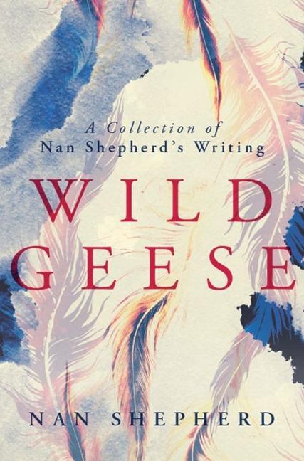 Vorderes Coverbild Wild Geese