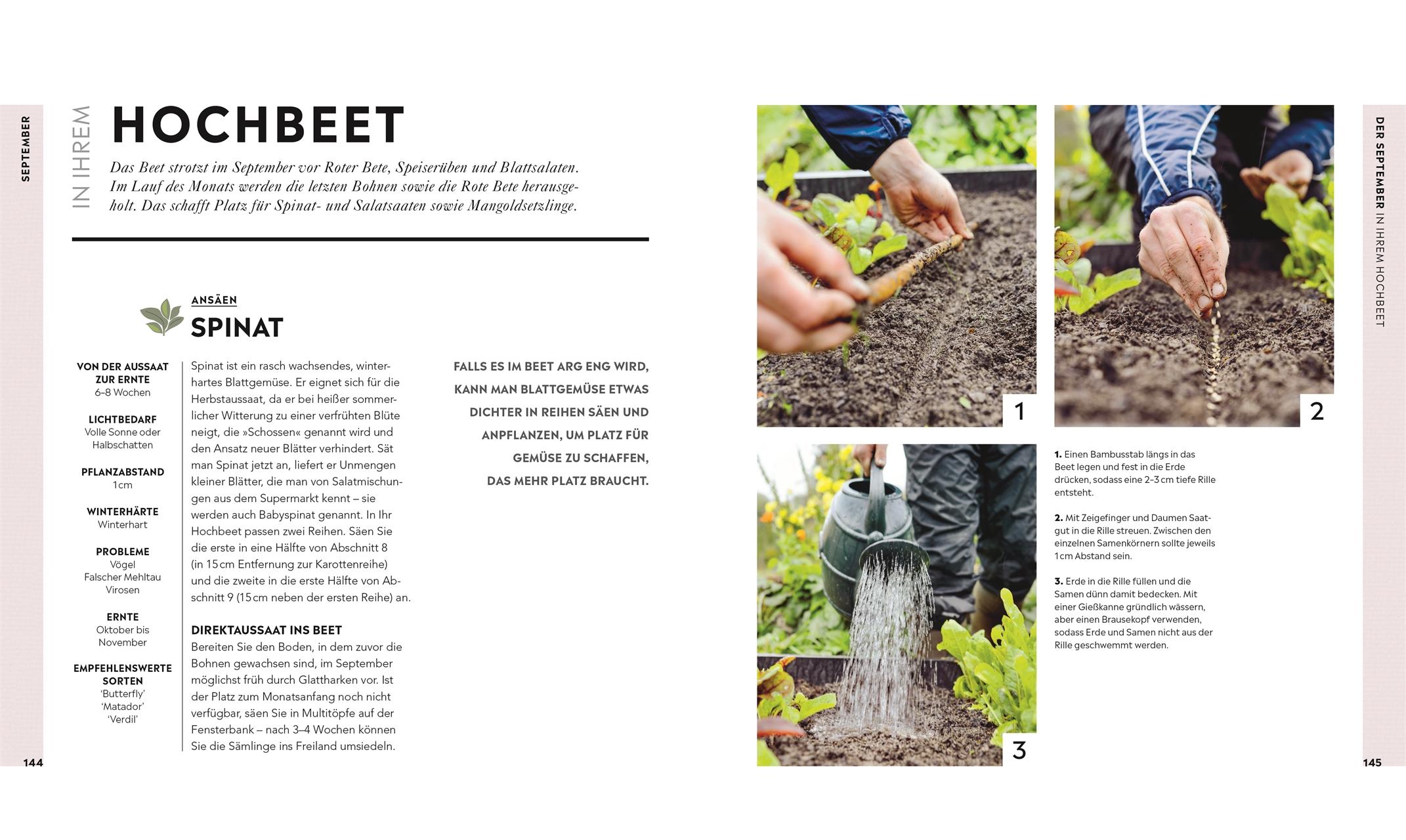 Beispielinhalt (Bild) Hochbeet