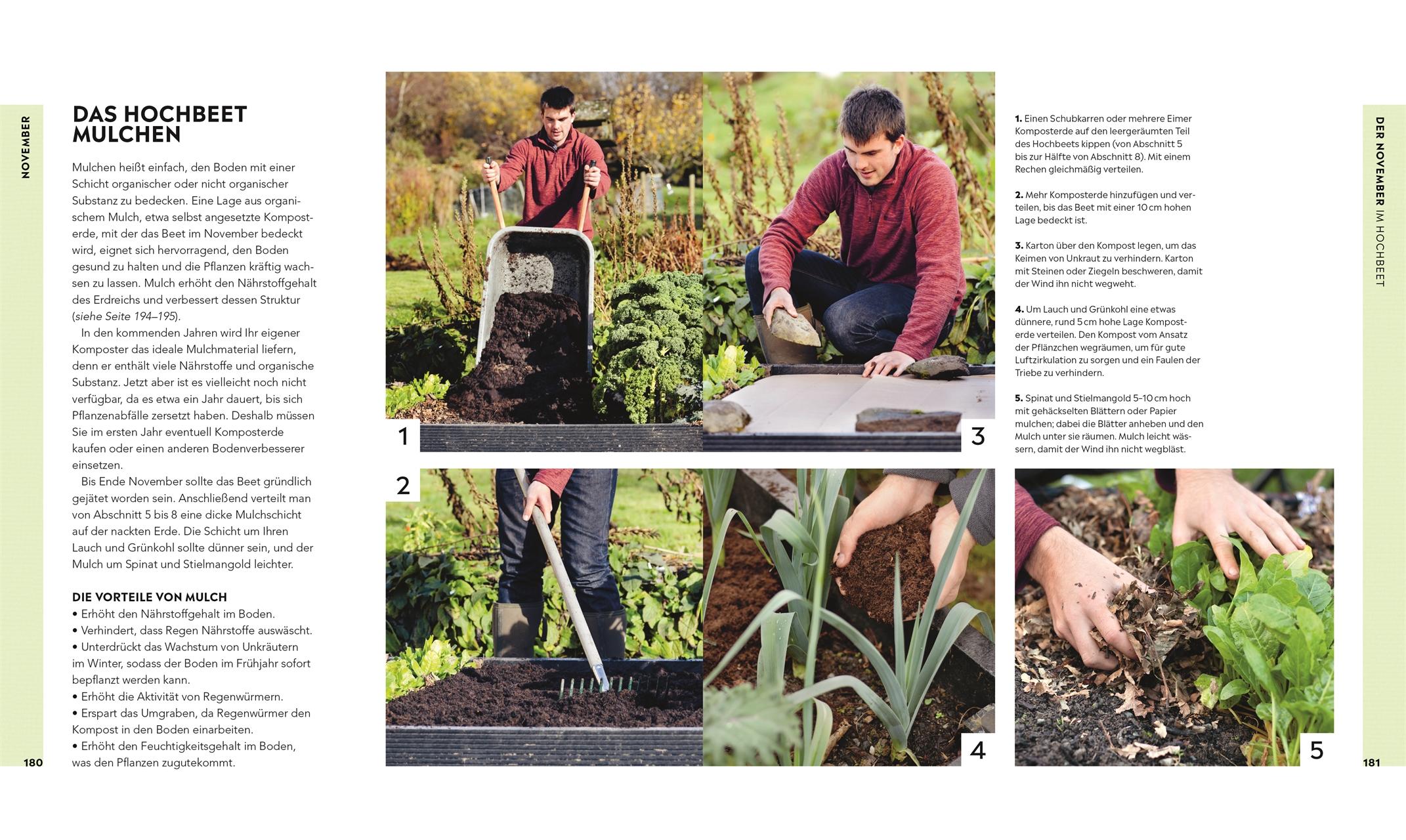 Beispielinhalt (Bild) Hochbeet