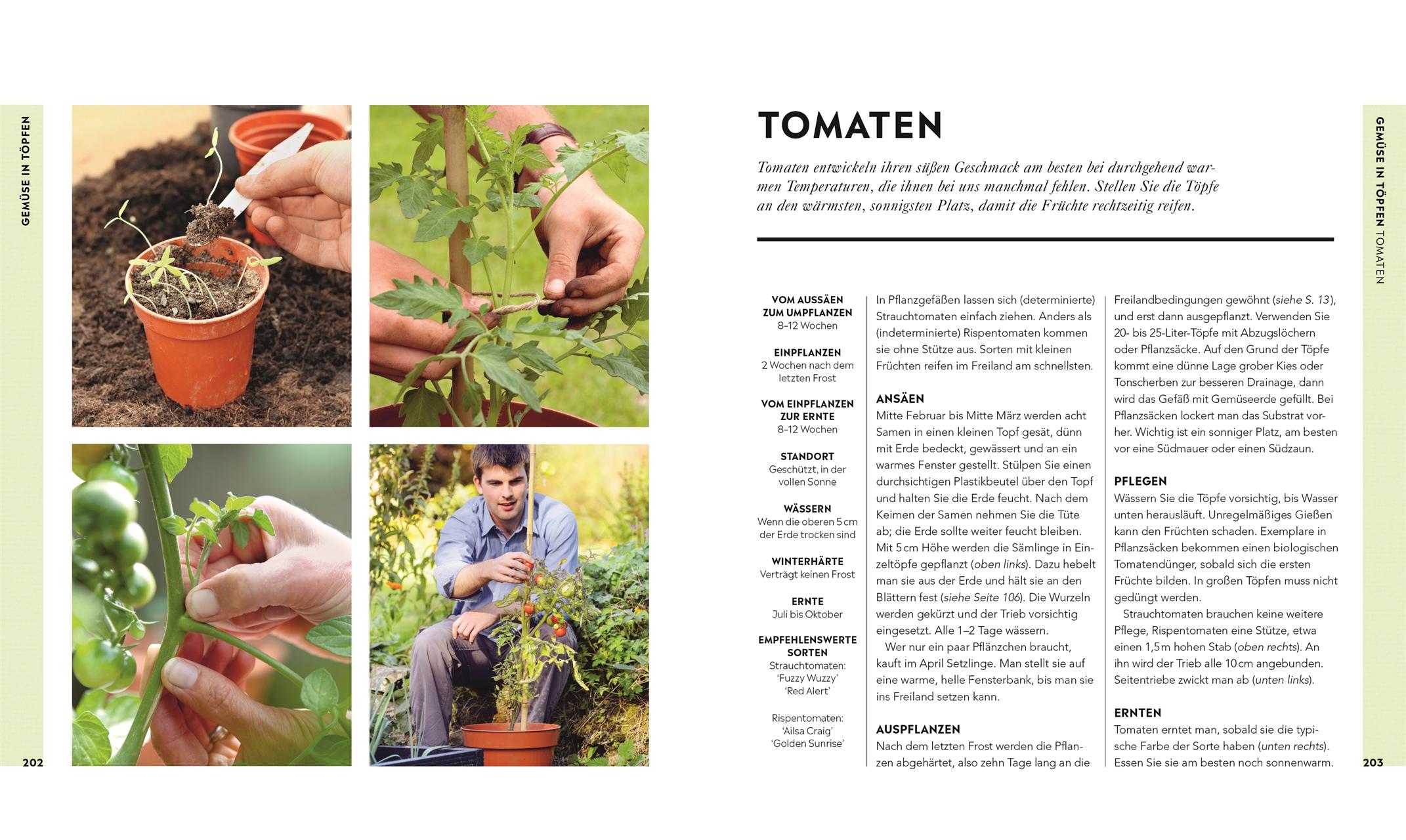 Beispielinhalt (Bild) Hochbeet