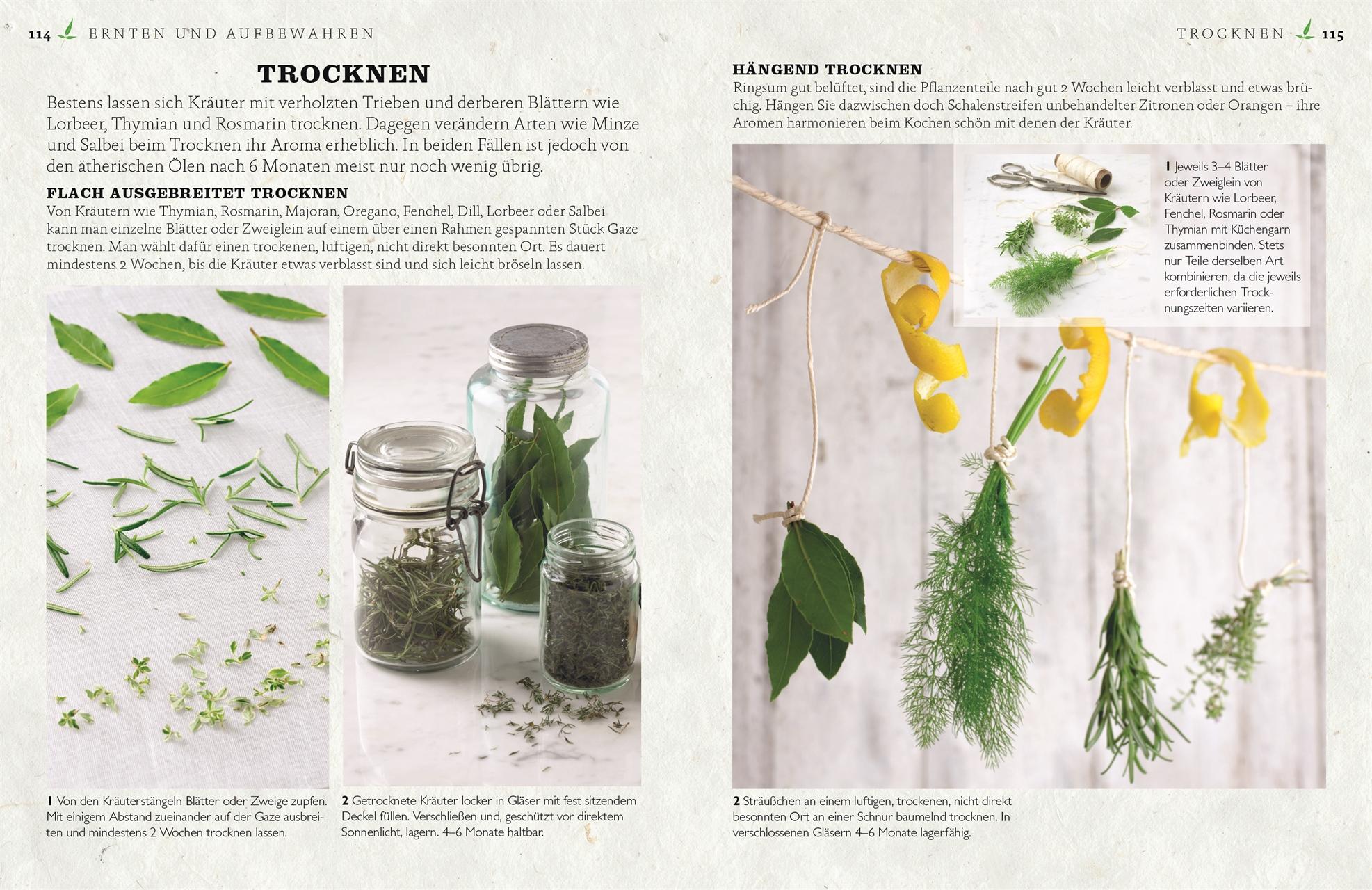 Beispielinhalt (Bild) Küchenkräuter anbauen und genießen