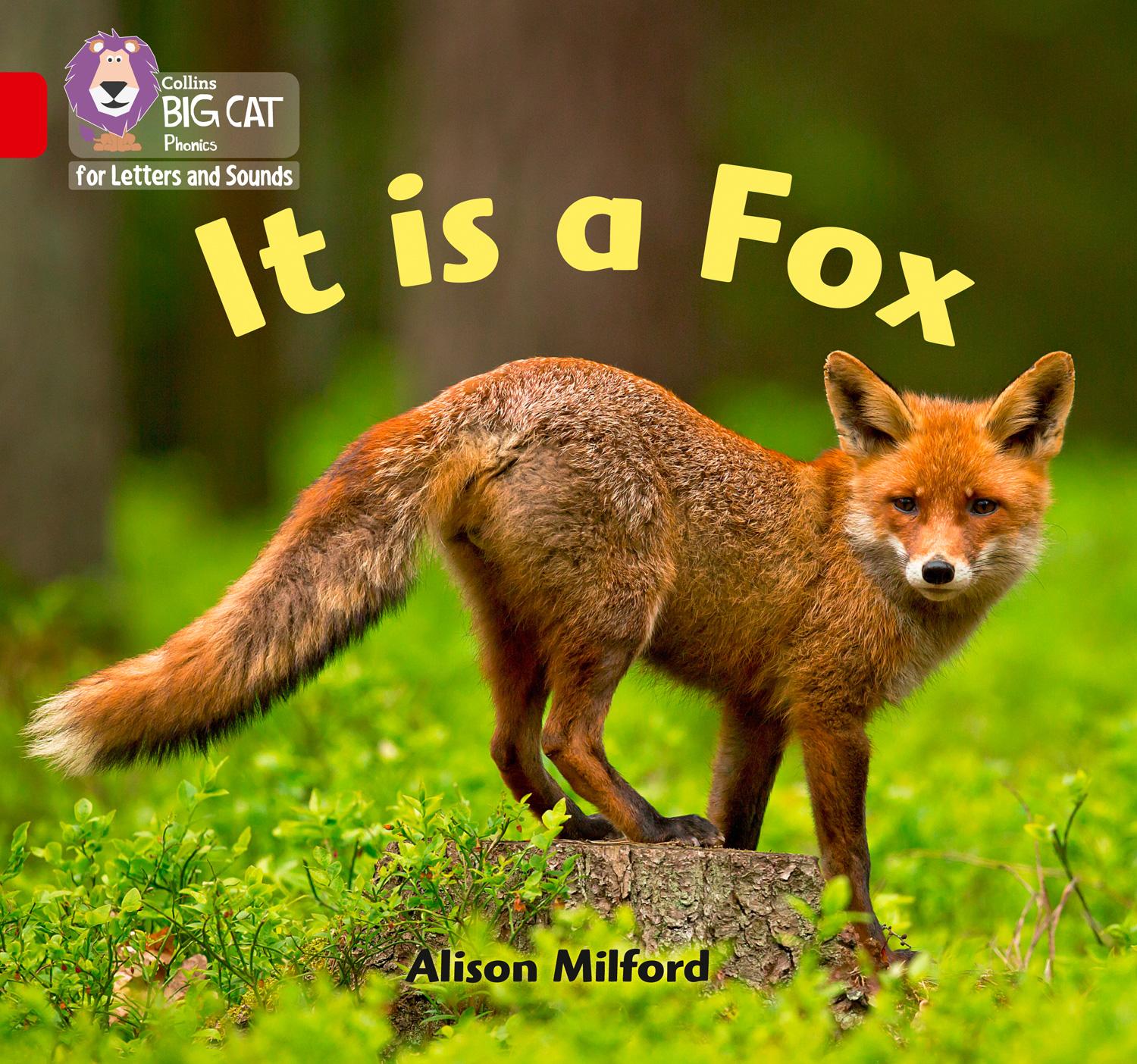Vorderes Coverbild It is a Fox