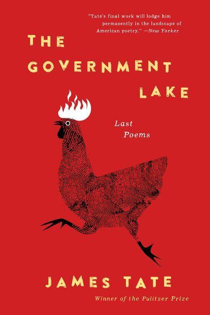 Vorderes Coverbild Government Lake, The