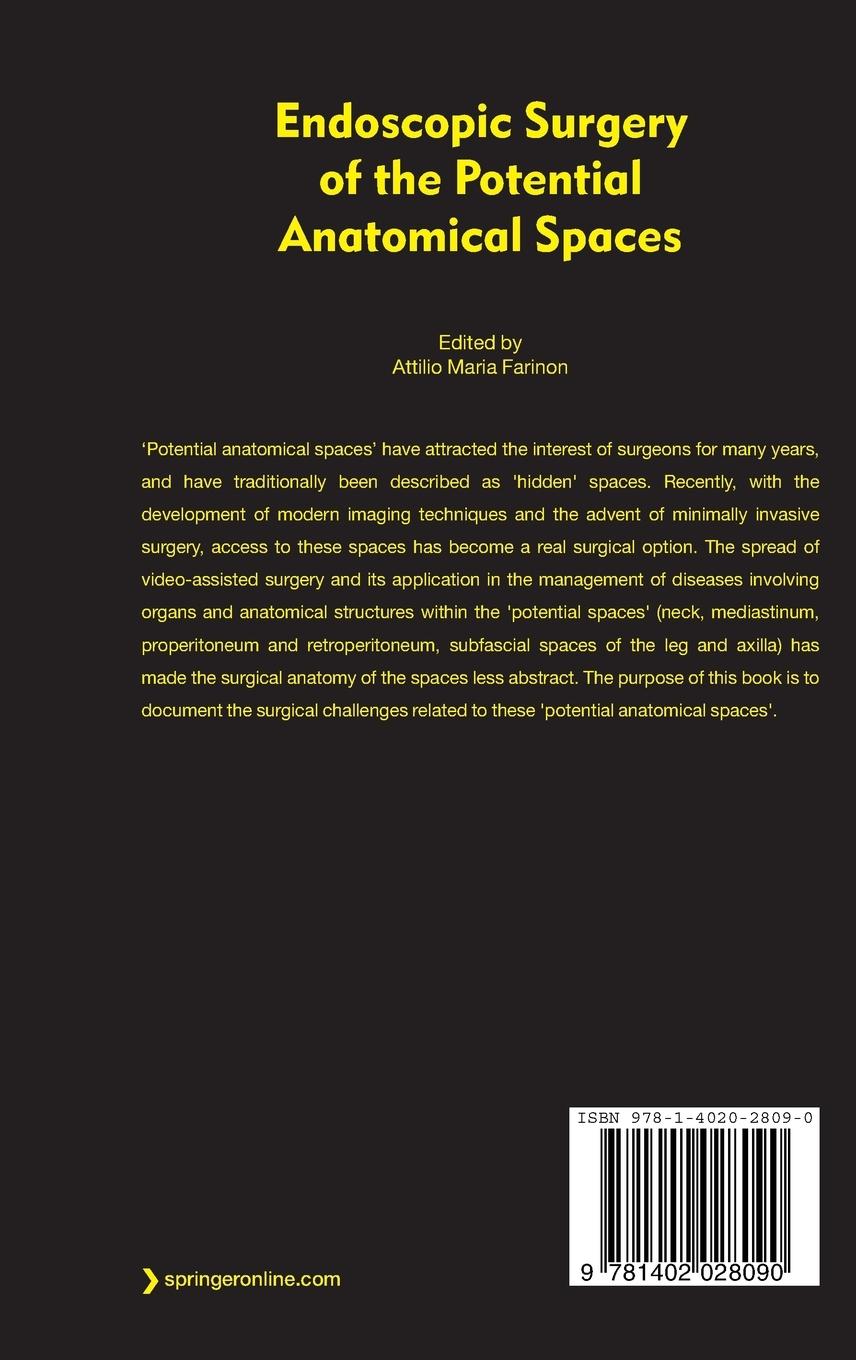 Rückseitencover Endoscopic Surgery of the Potential Anatomical Spaces