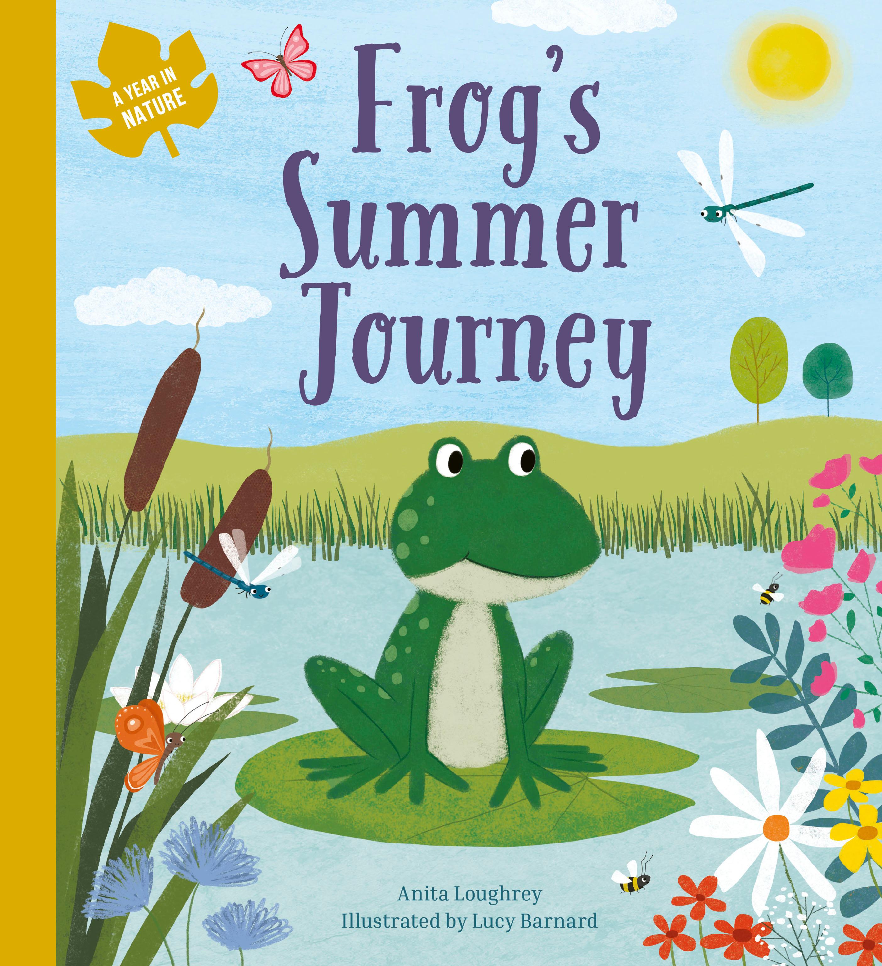Vorderes Coverbild Frog's Summer Journey