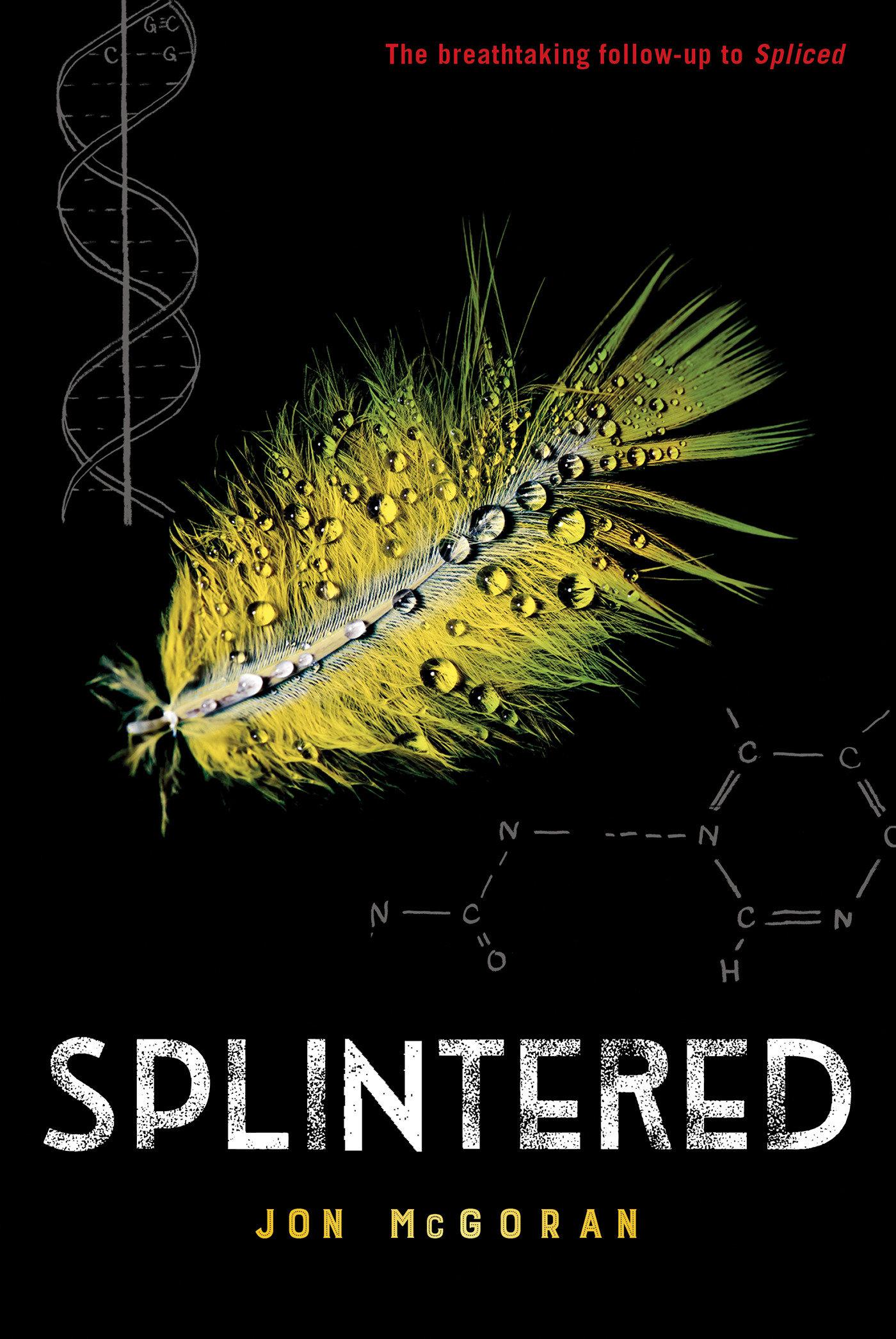 Vorderes Coverbild Splintered