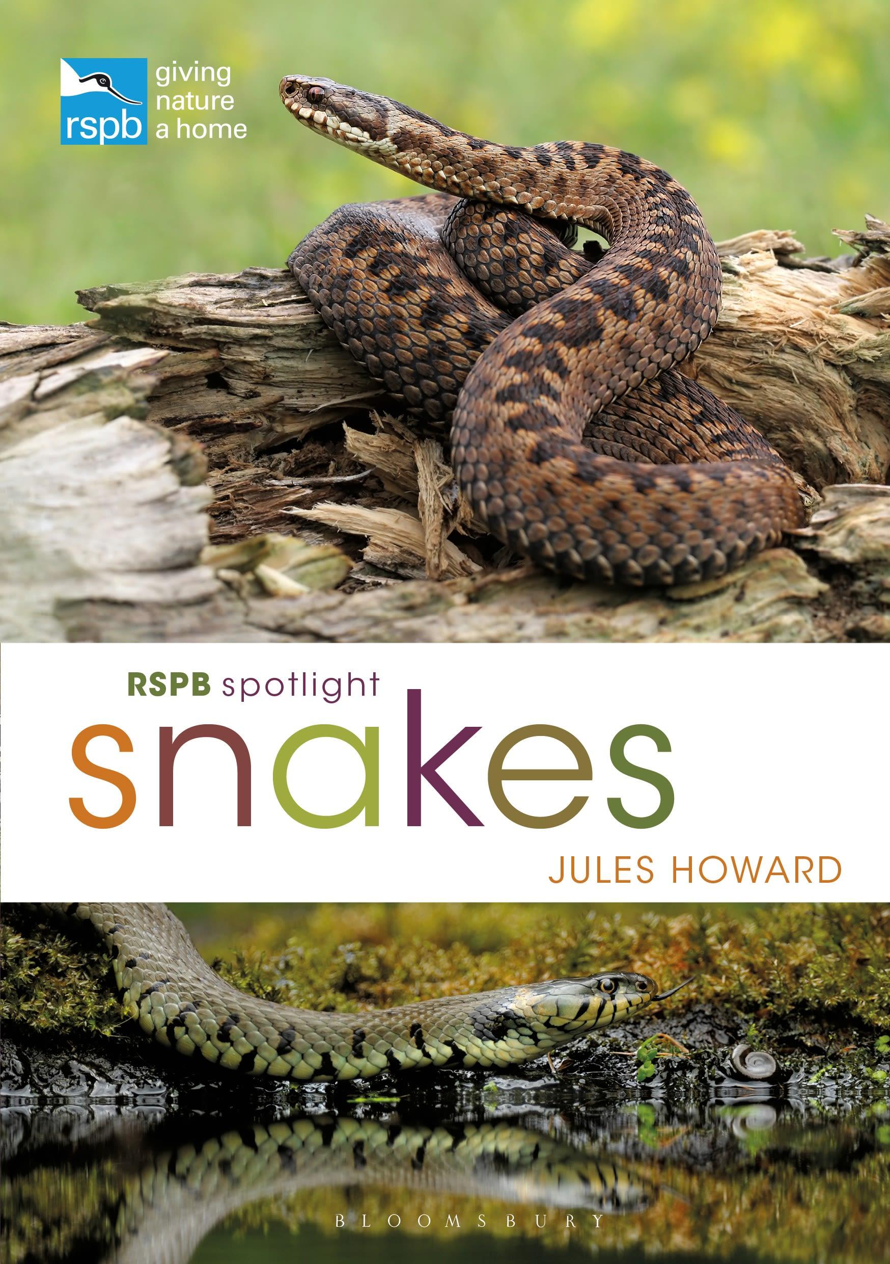 Vorderes Coverbild RSPB Spotlight Snakes