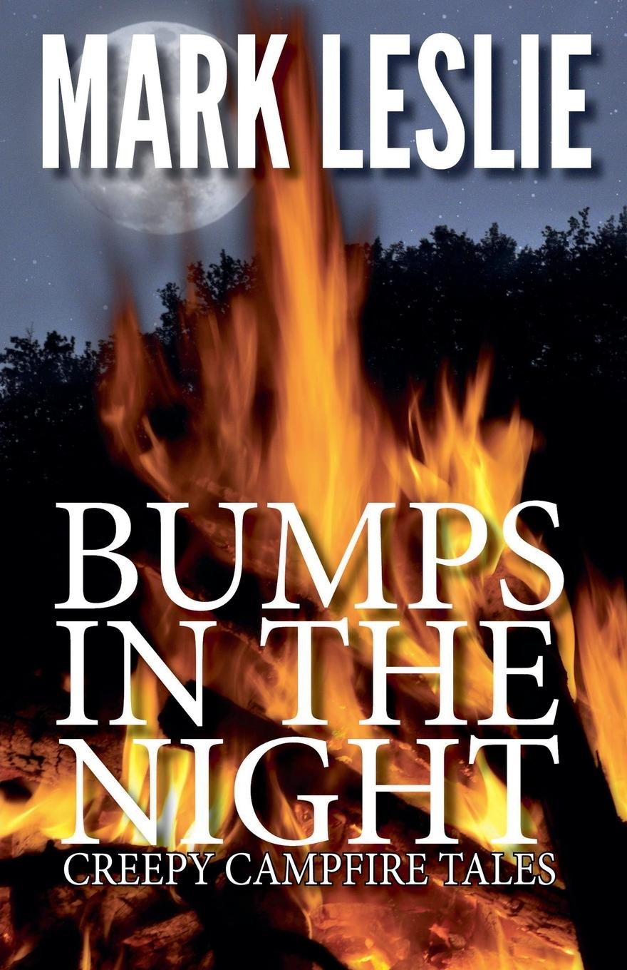 Vorderes Coverbild Bumps in the Night