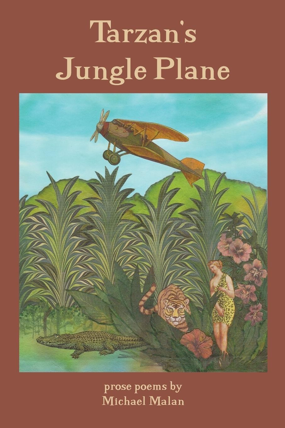 Vorderes Coverbild Tarzan's Jungle Plane