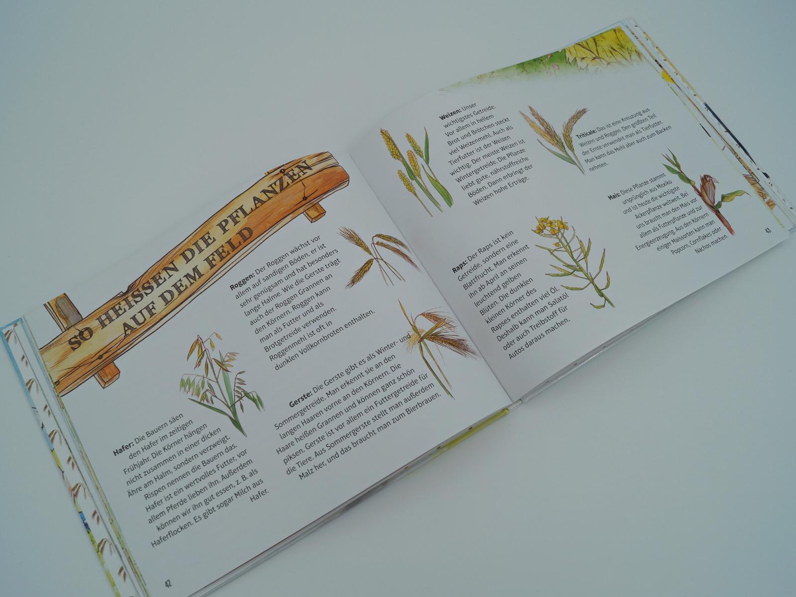 Beispielinhalt (Bild) Marike und Julius: Entdecke mit uns den Bauernhof