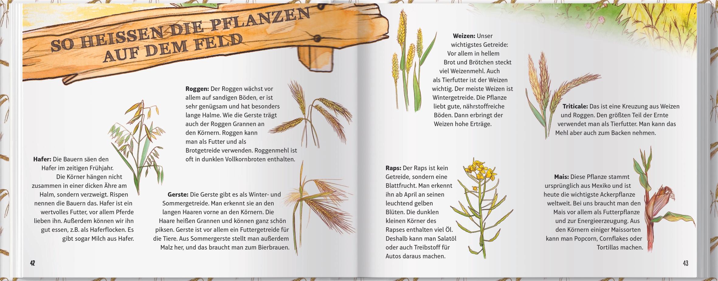 Beispielinhalt (Bild) Marike und Julius: Entdecke mit uns den Bauernhof