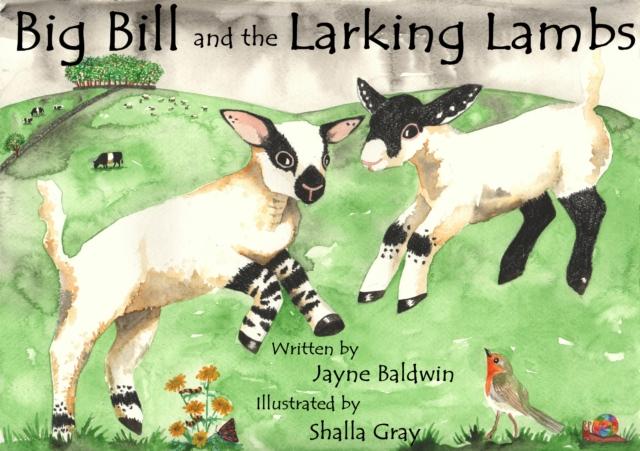Vorderes Coverbild Big Bill and the Larking Lambs