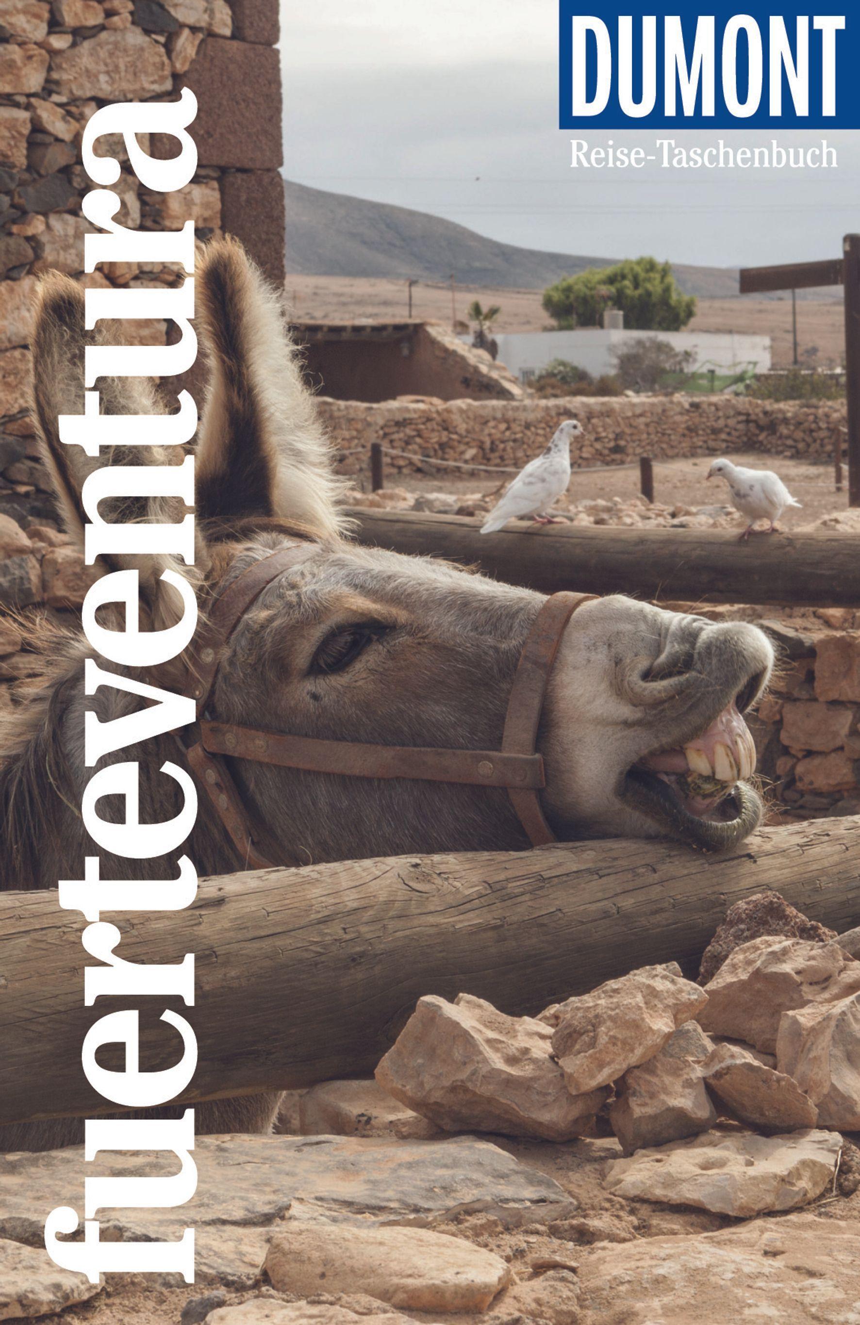 Vorderes Coverbild DuMont Reise-Taschenbuch Fuerteventura