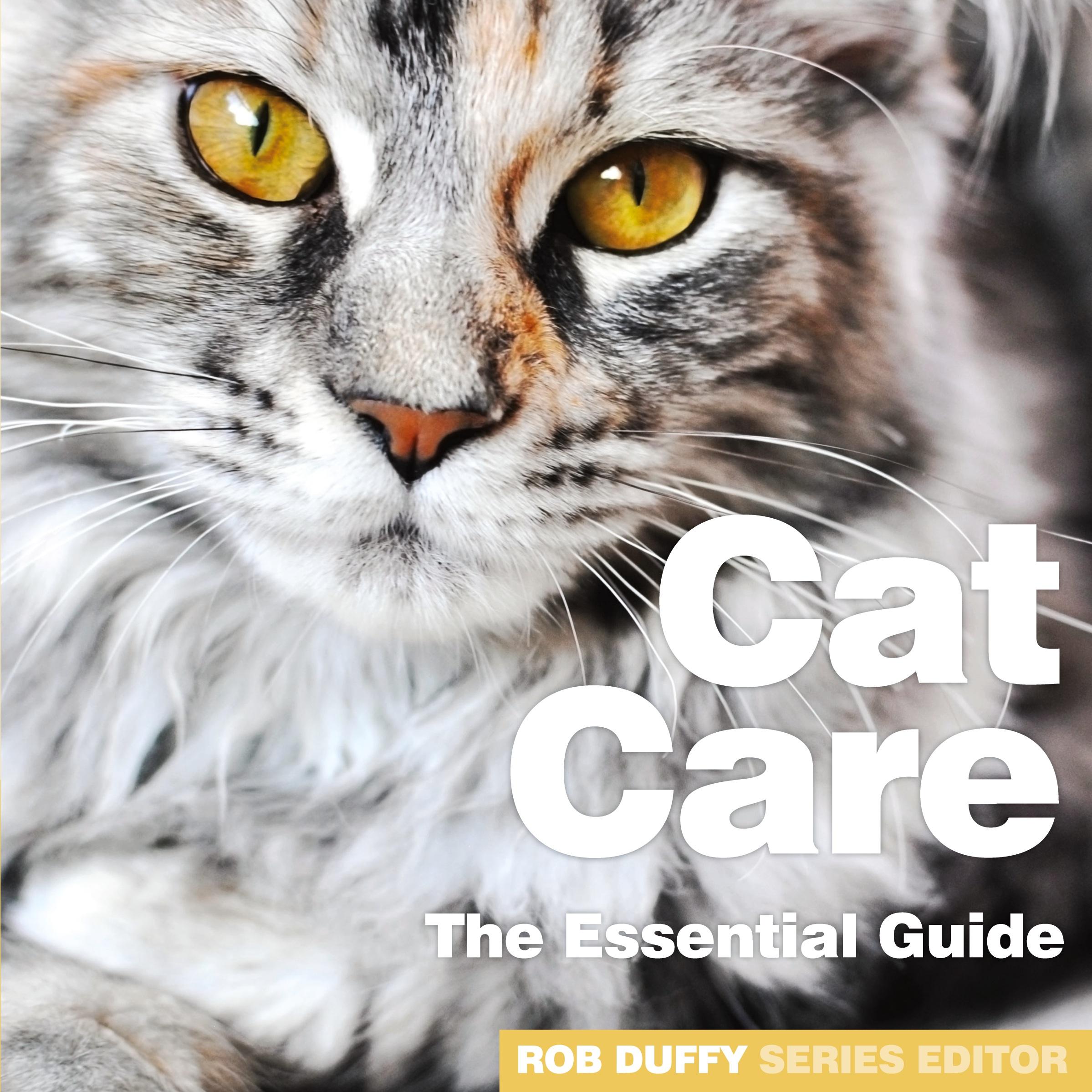 Vorderes Coverbild Cat Care