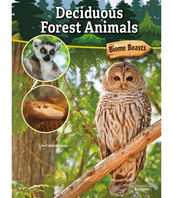 Vorderes Coverbild Deciduous Forest Animals
