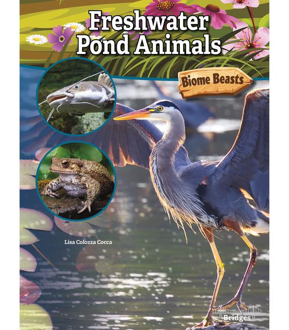 Vorderes Coverbild Freshwater Pond Animals