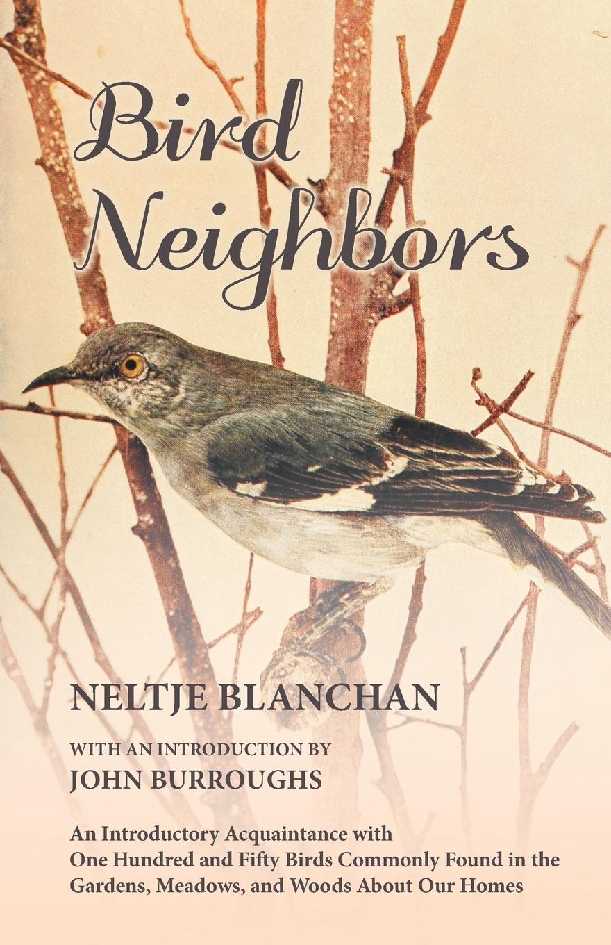 Vorderes Coverbild Bird Neighbors - An Introductory Acquaintance with One Hundred and Fifty Birds Commonly Found in the Gardens, Meadows, and Woods About Our Homes