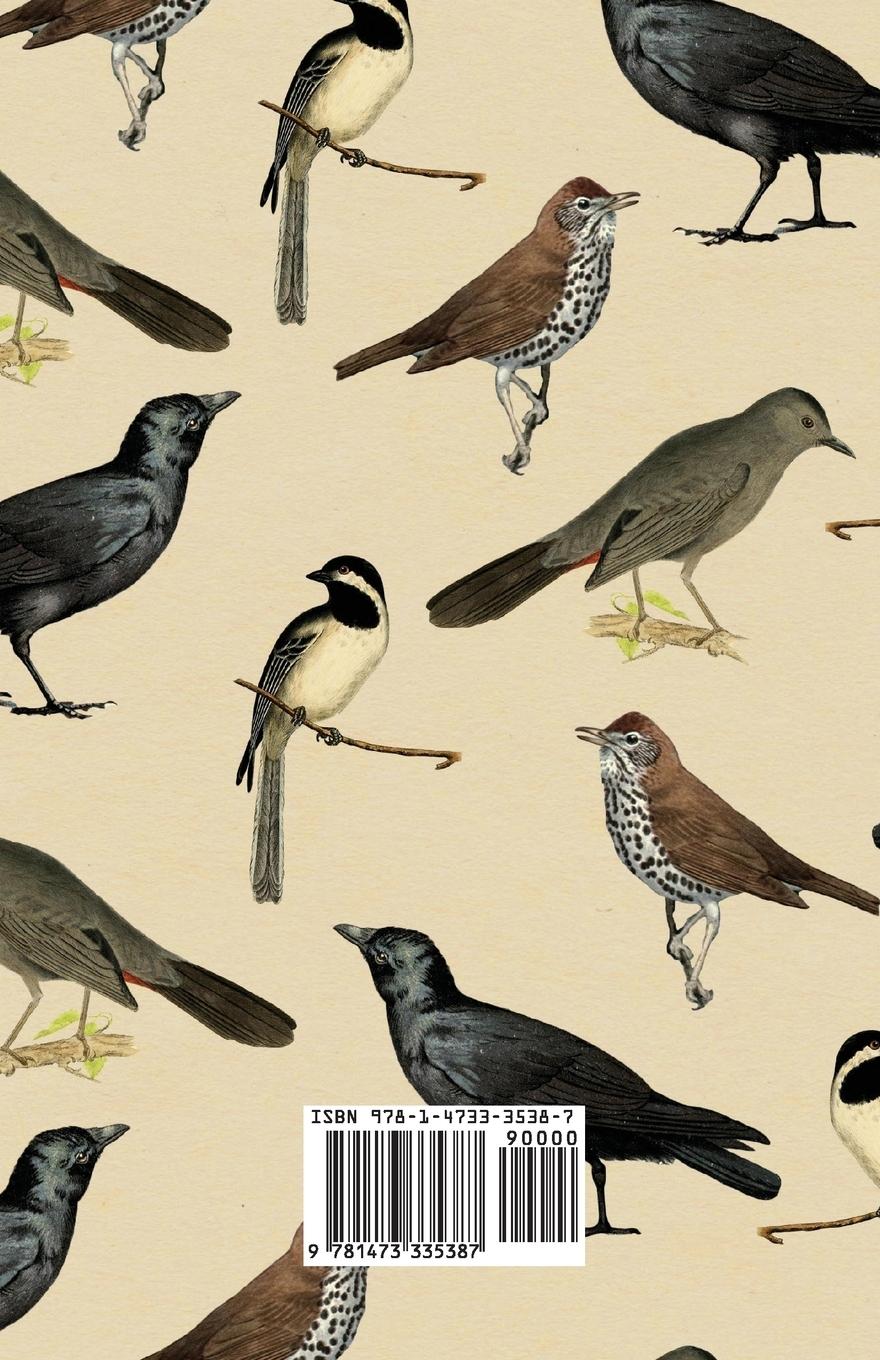 Rückseitencover Bird Stories from Burroughs - Sketches of Bird Life Taken from the Works of John Burroughs